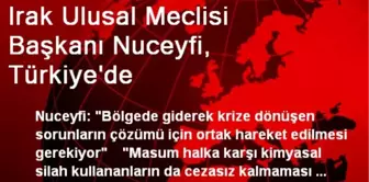 Irak Ulusal Meclisi Başkanı Nuceyfi, Türkiye'de