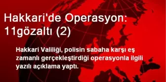 Hakkari'de Operasyon: 11gözaltı