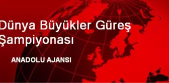 Dünya Büyükler Güreş Şampiyonası