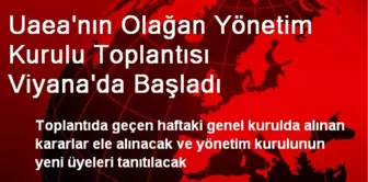 Uaea'nın Olağan Yönetim Kurulu Toplantısı Viyana'da Başladı