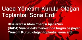 Uaea Yönetim Kurulu Olağan Toplantısı Sona Erdi