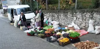 İskebe'de Halk Pazarı Kuruldu