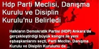 Hdp Parti Meclisi, Danışma Kurulu ve Disiplin Kurulu'nu Belirledi