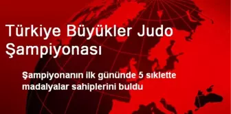 Türkiye Büyükler Judo Şampiyonası