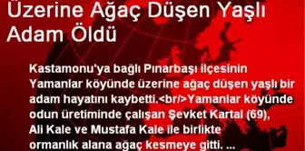 Üzerine Ağaç Düşen Yaşlı Adam Öldü