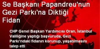 Se Başkanı Papandreu'nun Gezi Parkı'na Diktiği Fidan