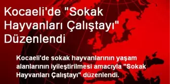 Kocaeli'de 'Sokak Hayvanları Çalıştayı' Düzenlendi