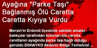 Ayağına 'Parke Taşı' Bağlanmış Ölü Caretta Caretta Kıyıya Vurdu