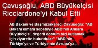 Çavuşoğlu, ABD Büyükelçisi Ricciardone'yi Kabul Etti