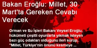 Bakan Eroğlu: Millet, 30 Mart'ta Gereken Cevabı Verecek