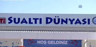 ''ETİ Sualtı Dünyası' Açıldı