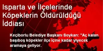 Isparta ve İlçelerinde Köpeklerin Öldürüldüğü İddiası