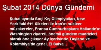 Şubat 2014 Dünya Gündemi