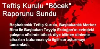 Teftiş Kurulu 'Böcek' Raporunu Sundu