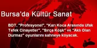 Bursa'da Kültür Sanat