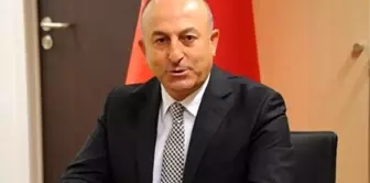 AB Bakanı Çavuşoğlu Fransa TÜMSİAD'ı Ziyaret Etti