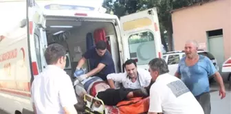 Burdur'da İki Otomobil Çarpıştı: 5 Ölü 3 Yaralı