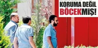 Koruma Değil Böcekmiş!