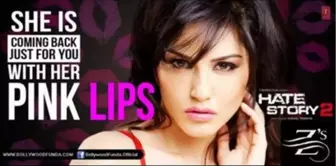 Pink Lips Full Song Hate Story 2 Sunny Leone Item Song | Z-Series (Z-S)