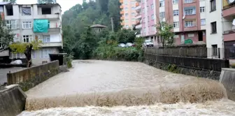 Rize'de Şiddetli Yağış