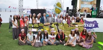 Tarsus 33. Üzüm ve Kültür Festivali