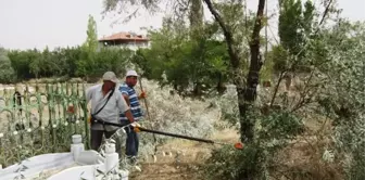 Elbistan'daki Mezarlıklarda Temizlik Çalışması