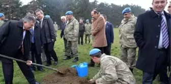 Şehit ve Gazi Yakınları Komandolar ile Fidan Dikti