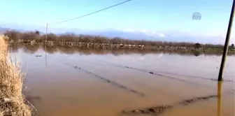 Büyük Menderes Nehrindeki Su Taşkını Giderildi