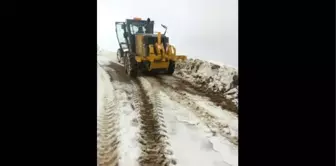 Kulp Belediyesi Karla Mücadele Çalışmalarına Devam Ediyor