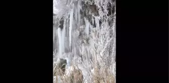 Sivas'ta Soğuk Hava Şelaleyi Dondurdu