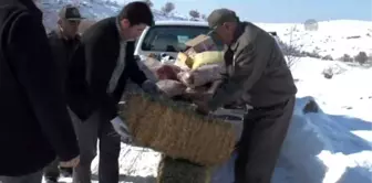 Malatya'da Yaban Hayvanları İçin Doğaya Yem Bırakıldı