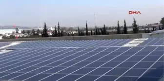 Mersin Fabrika Elektriğini Güneş Enerjisinden Sağlıyor