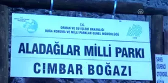 Aladağlar Milli Park Alanı, Kamerayla İzleniyor