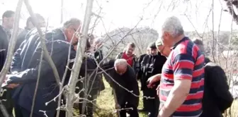 Fındıkta Verim İçin 'Tarla Okulu' Uygulaması