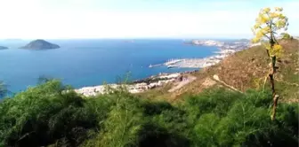 Çevrecilerden Bodrum'da Res'i Yapacak Şirkete; Hodri Meydan