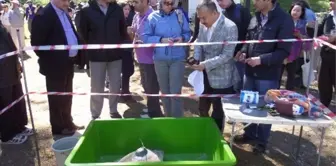 İztuzu Sahilinde 4 Deniz Kaplumbağası Denize Bırakıldı