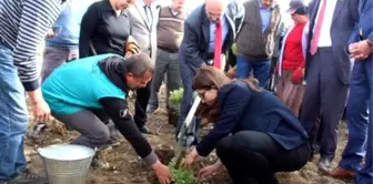 Burdur Gölü'nü 'Lavanta Deresi' Kurtaracak