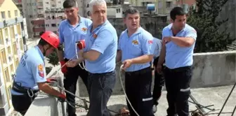 Adana'da Kedi Kurtarma Seferberliği