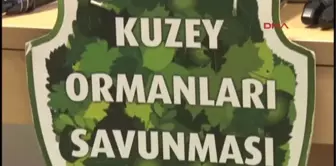 Kuzey Ormanları Savunması: 3. Köprü Artık 2 Beton Kuleden İbarettir