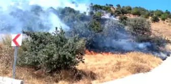 Yozgat'ta Çalılık Alanda Yangın