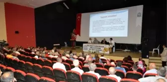 Cevizin Başkenti Niksar'da 'Ceviz Paneli' Yapıldı