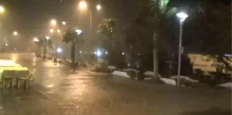 Didim'de Korkulan Olmadı