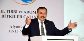 Orman ve Su İşleri Bakanı Prof. Dr. Veysel Eroğlu Afyonkarahisar'da