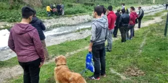 Köpekleri Uğruna Dereye Atladılar