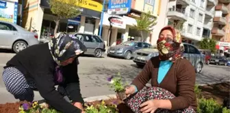 Kilis Çiçeklerle Bezeniyor