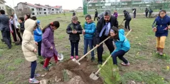 Melikgazi'de 4000 Adet Çam ile Çınar Fidanı Toprakla Buluştu