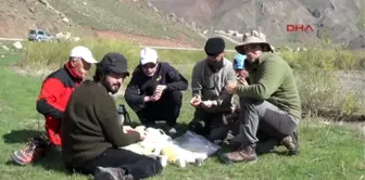 Hakkari Dağcıların Kaya Tırmanışı