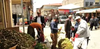 Pancar Pazarına Yoğun İlgi