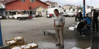 Balık Av Sezonu Açıldı Ama...