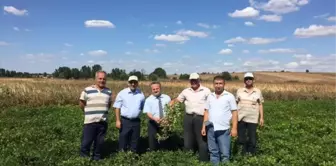 Ferhadanlı ve Kaşıkçı Mahallelerinde Çiftçi Toplantıları Düzenlendi